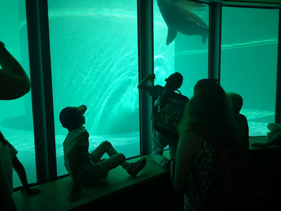 zoo2104